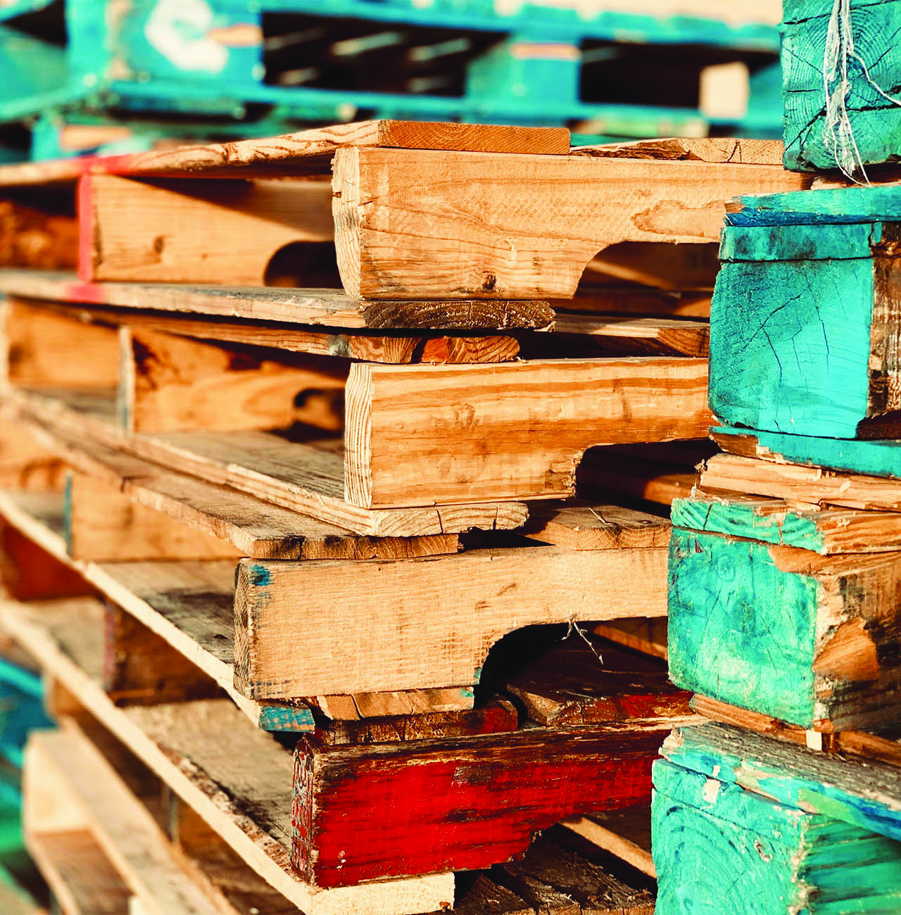 Environmental Policy